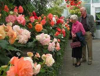 96-летний шотландец женится на женщине, которая просидела с ним 10 лет