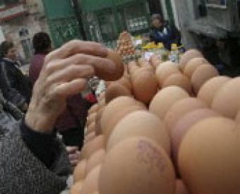 В томском супермаркете в коробке с яйцами вылупился цыпленок (ФОТО)