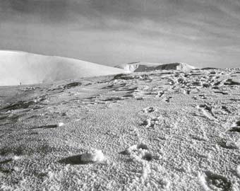 Донецкие альпинисты заподозрили снежного человека в краже макарон