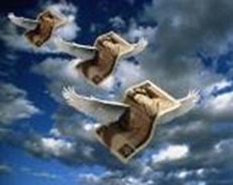 В Сочи установят памятник курортнику-толстосуму