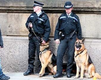 Британским служебным собакам придется обуться перед входом в дома мусульман