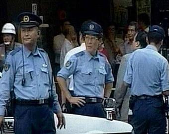 Секс-кукла переполошила японскую полицию