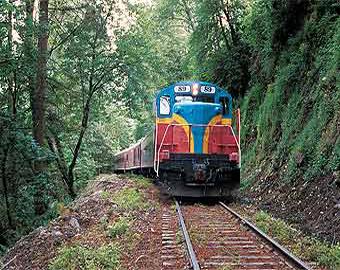 Белорусский поезд остановился в лесу из-за рассеянного пенсионера