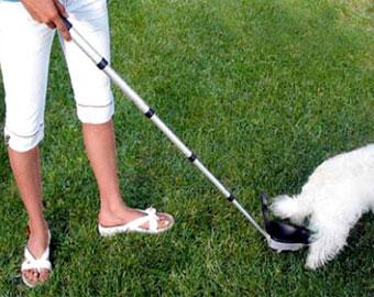 Хозяева собак смогут заработать на продаже фекалий