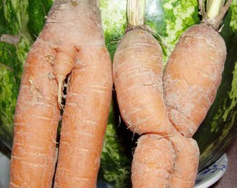 ЕС разрешил продавать "неправильные" овощи и фрукты