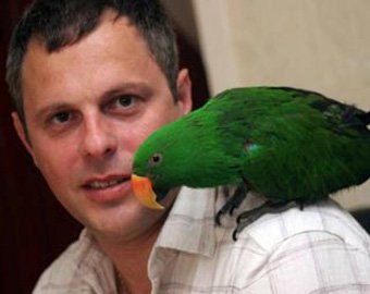 Попугай предотвратил ограбление дома в Лондоне