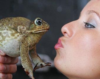Шеф-повар из Айовы оштрафован за поцелуй с жабой