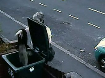 За брошенную в мусорный бак кошку британку оштрафовали на 250 фунтов