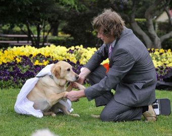 20-летний австралиец женился на своей собаке