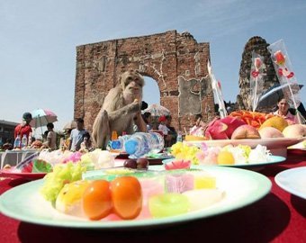 В Таиланде снова состоялся банкет для обезьян