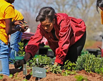 Мишель Обама напишет руководство для садоводов