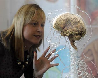 В научном центре выставили настоящий человеческий мозг