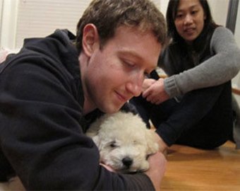 Пес основателя Facebook завел сотню тысяч друзей