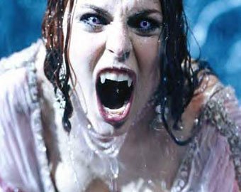 В России появится фронт защиты прав нелюдей