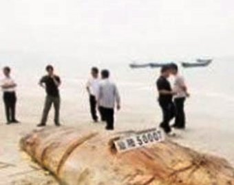На побережье Китая океан выбросил "неизвестное чудовище"