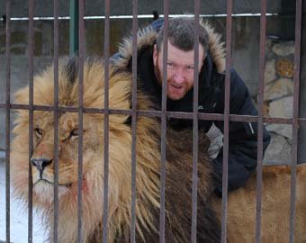 Владелец зоопарка проведет пять недель в клетке со львами