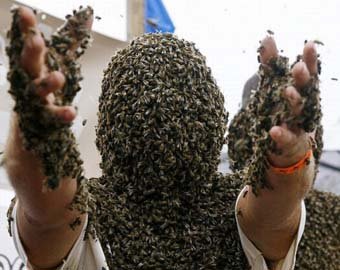Китаец удержал на своем теле 26 килограммов пчел