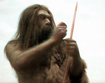 Всех неафриканцев признали потомками неандертальцев