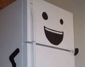Австралиец лишился прав за езду на холодильнике