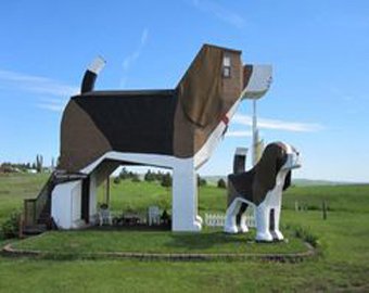 В США построили гостиницу-собаку