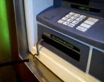 Мужчина, снимая деньги через банкомат, получил в придачу змею