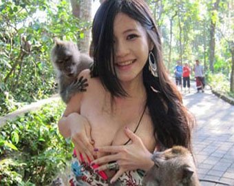 Голодные обезьяны попытались раздеть тайваньскую студентку