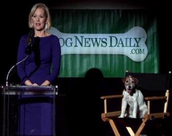 В Голливуде учредили "Оскар" для собак