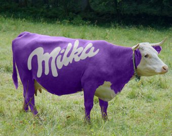 В Сербии родился теленок сиреневого цвета