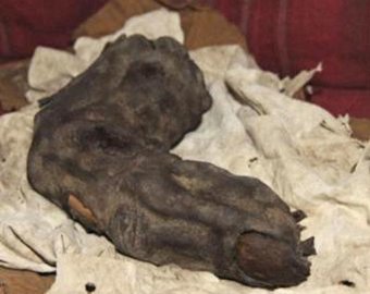 В Египте найден палец великана 