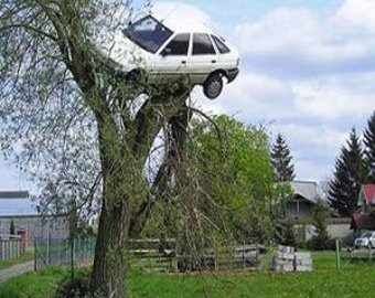 Мужчина нашел свою машину на дереве