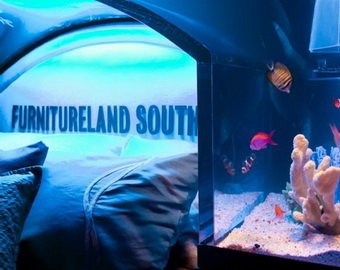 Американская фирма объединила кровать с аквариумом