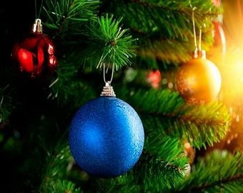 Немец шесть лет не мог расстаться с новогодней елкой