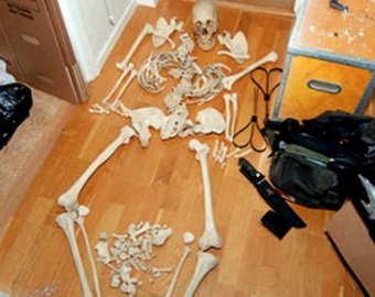Жительницу Швеции обвинили в сексе со скелетом