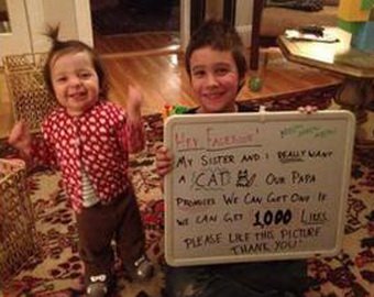 Отец проспорил детям кошку благодаря пользователям Facebook