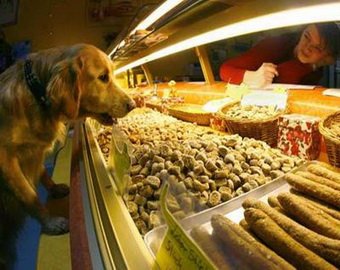 В Испании открылась пекарня для домашних животных