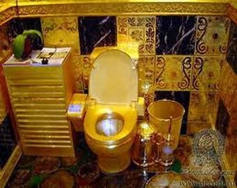 Самый роскошный общественный туалет стоит  тысячи