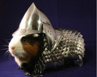 Кольчугу и шлем для морской свинки выставили на eBay