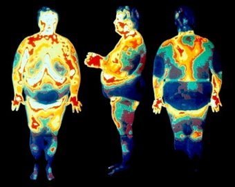 Американский профессор высмеял толстых аспирантов