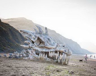 Британцы обнаружили на пляже гигантский череп дракона