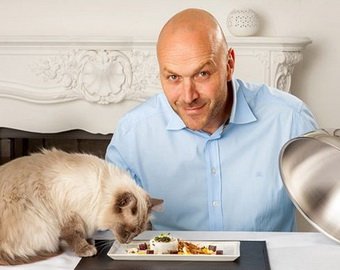В Британии открылась сеть ресторанов для элитных английских кошек