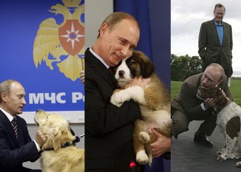В Киеве нашли собаку, похожую на Путина