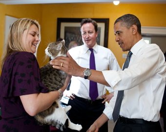 Премьер-министра Британии обвинили в нелюбви к собственному коту