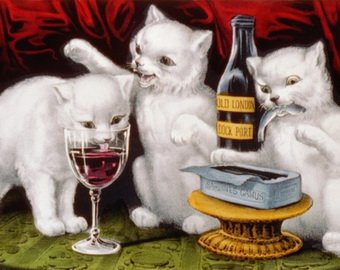 В Японии изобрели вино для кошек