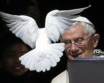 «Голубей мира» Папы Римского атаковали чайки и ворон