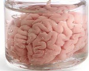 Американец продавал образцы мозга людей на интернет-аукционе