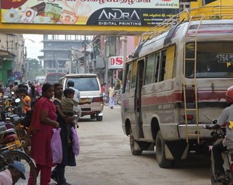 В автобусах Шри-Ланки появились места для «беременных собак»