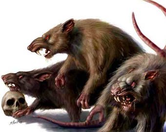 Британия переживает нашествие гигантских крыс