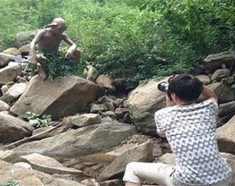 Китаец сфотографировал в лесу "монстра" из "Властелина колец"
