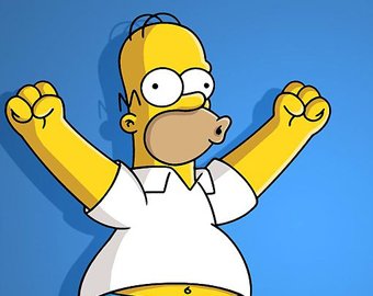 Гомер Симпсон стал самым популярным участником Ice Bucket Challenge