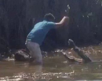 Мужчина расцеловал огромного крокодила